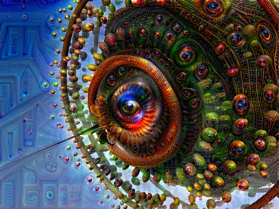 The Eye of the Fractal