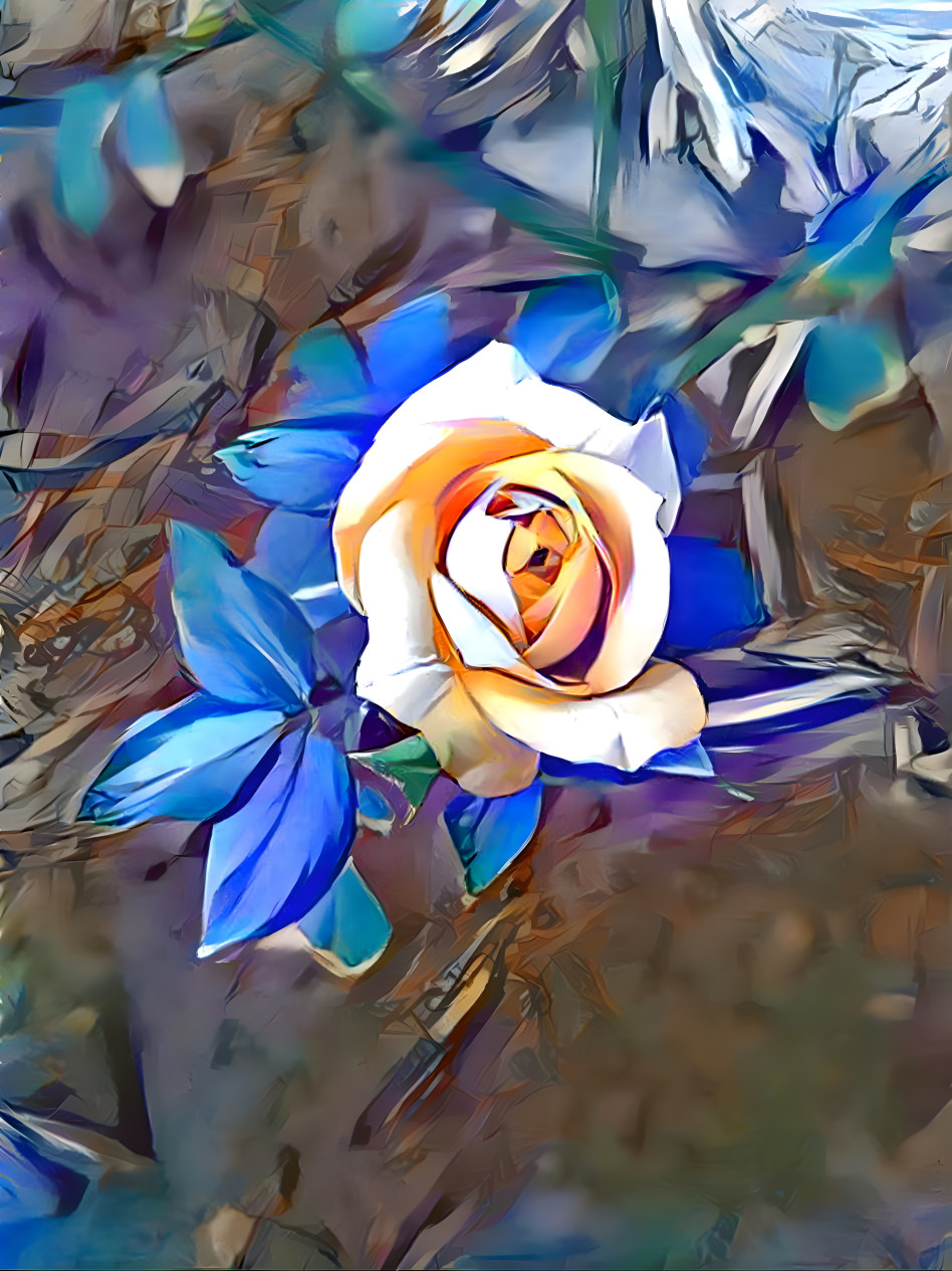 Blue Rose