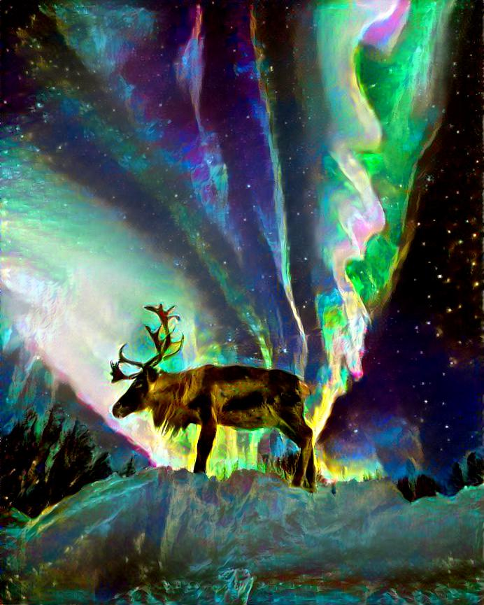 Aurora Elk