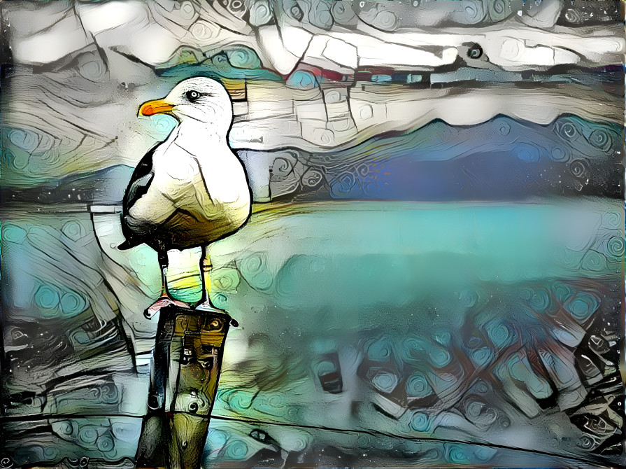 Sea gull