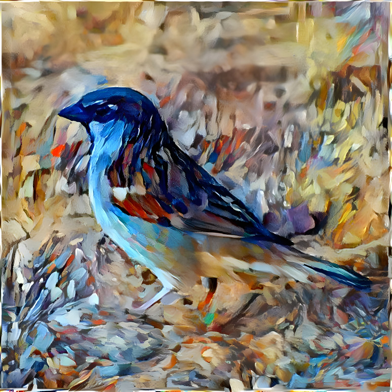 Blue sparrow