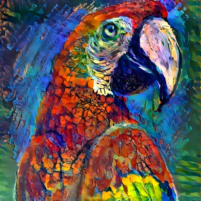 Red macaw