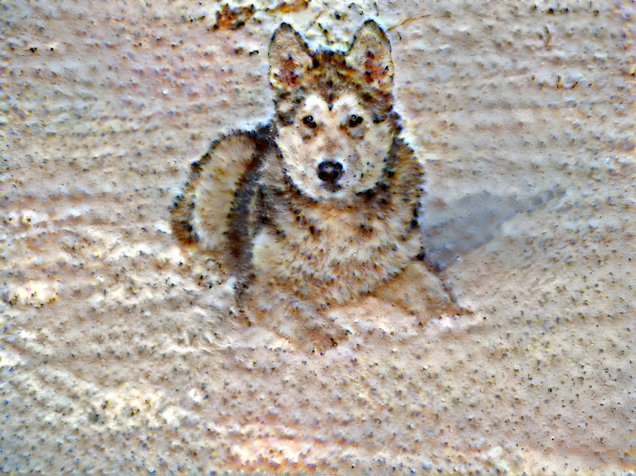 Plaster Huskie