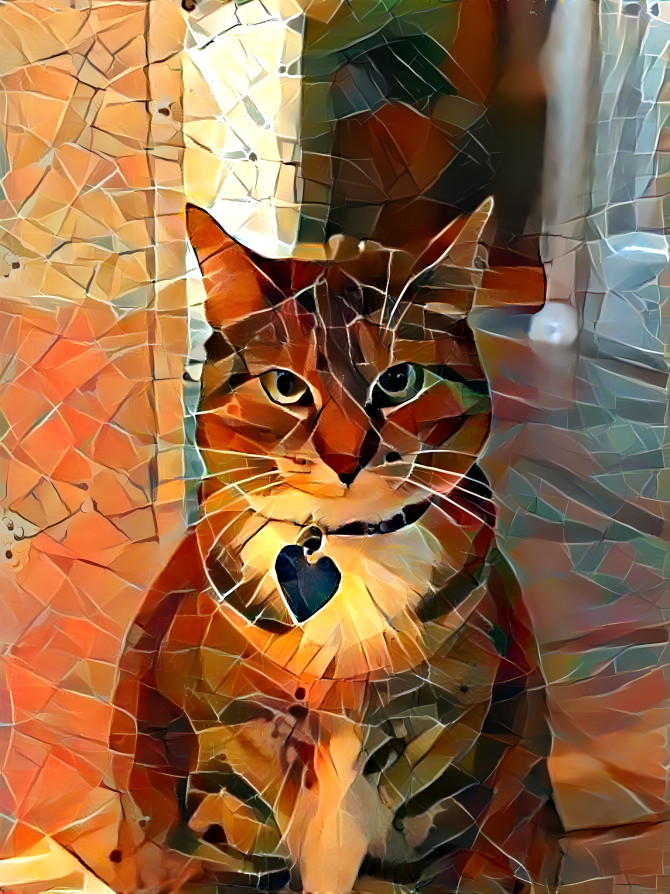 Cat Mosaic 