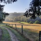 Tranquil landscape painting with lush trees, colorful meadow, and rolling hills