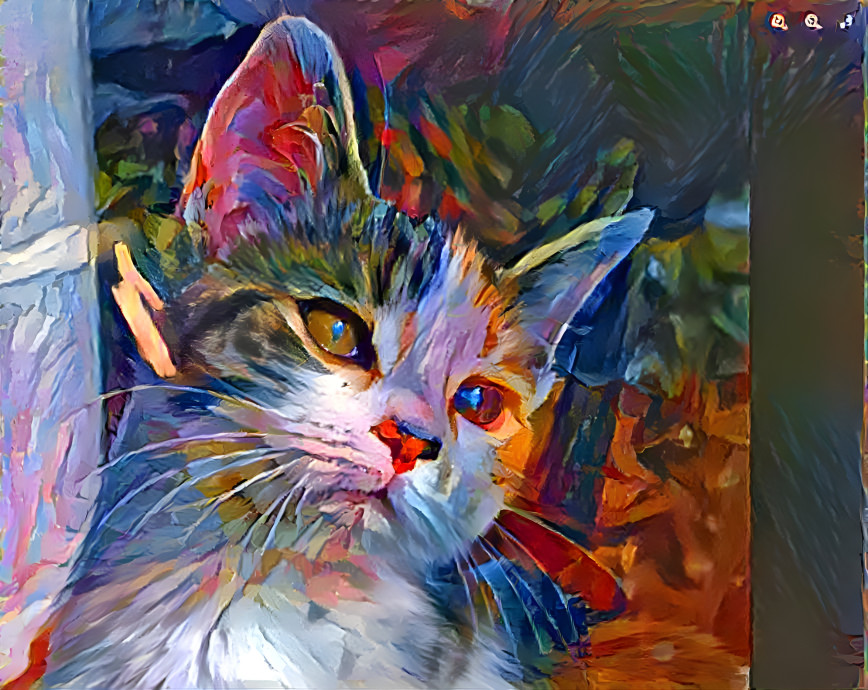 colorful cat