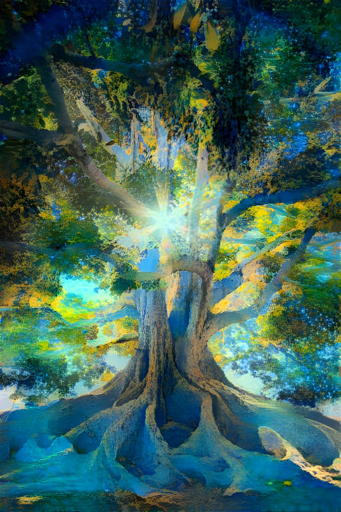 Tree of Life