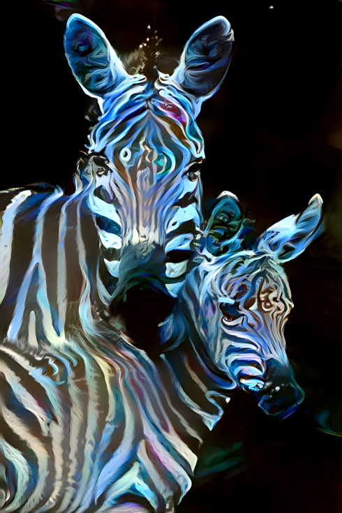 Zebras