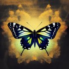 Colorful Butterfly with Blue and Yellow Wings in Cosmic Setting