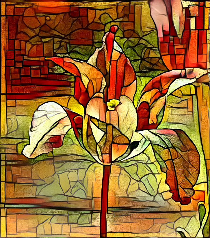 Tulip stained glass