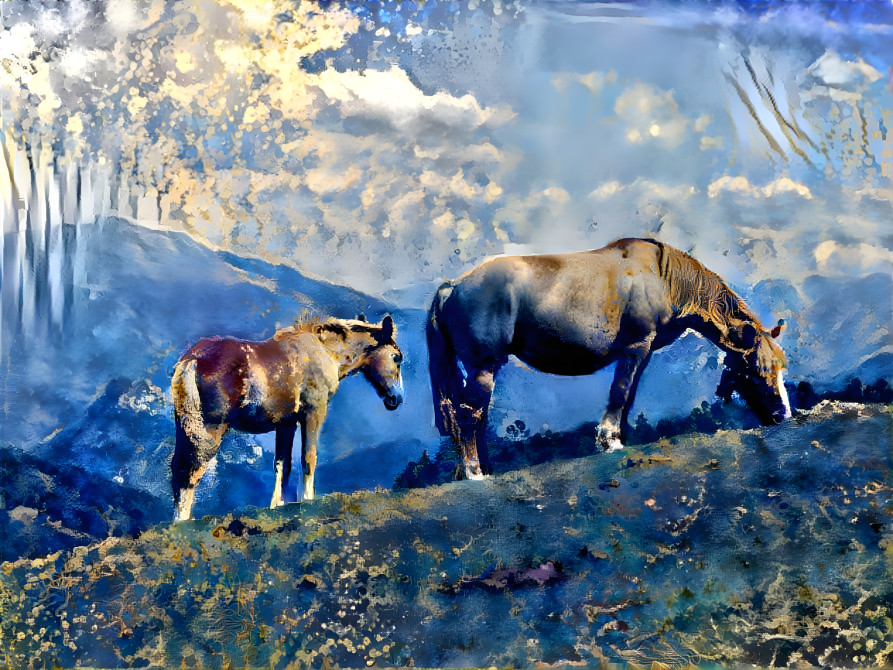 Horses in the mountain