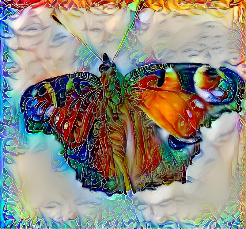 Butterfly dream