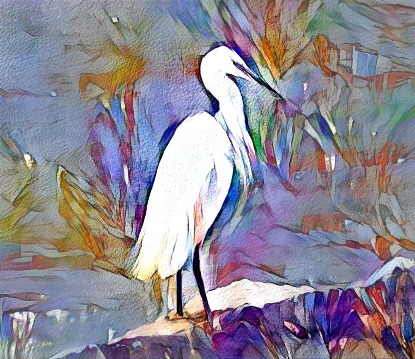 Heron