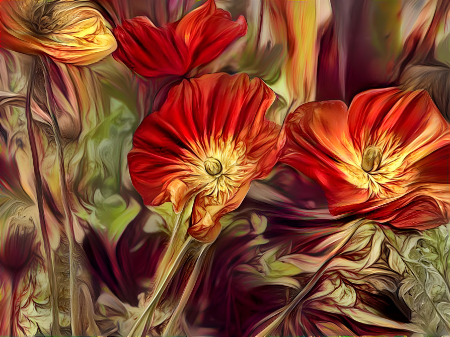 Poppies