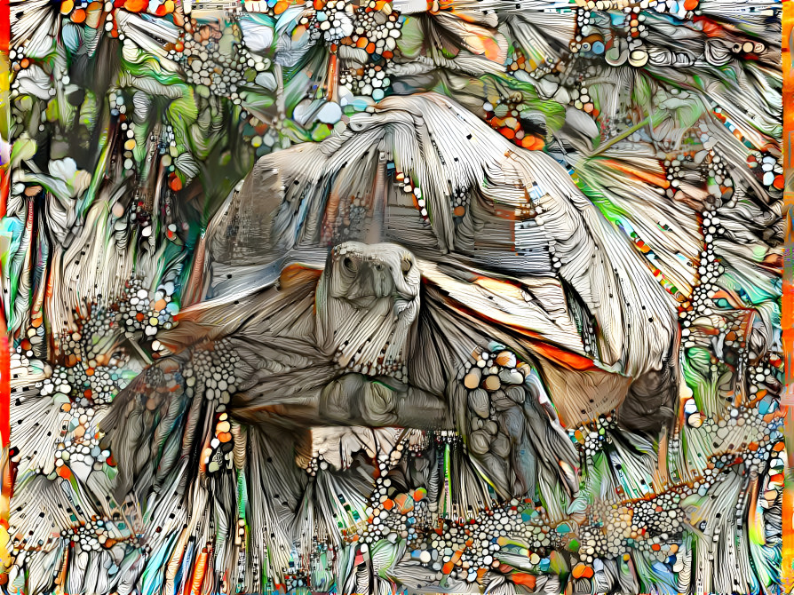 Turtle