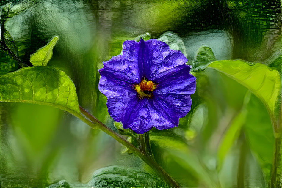 Blue flower