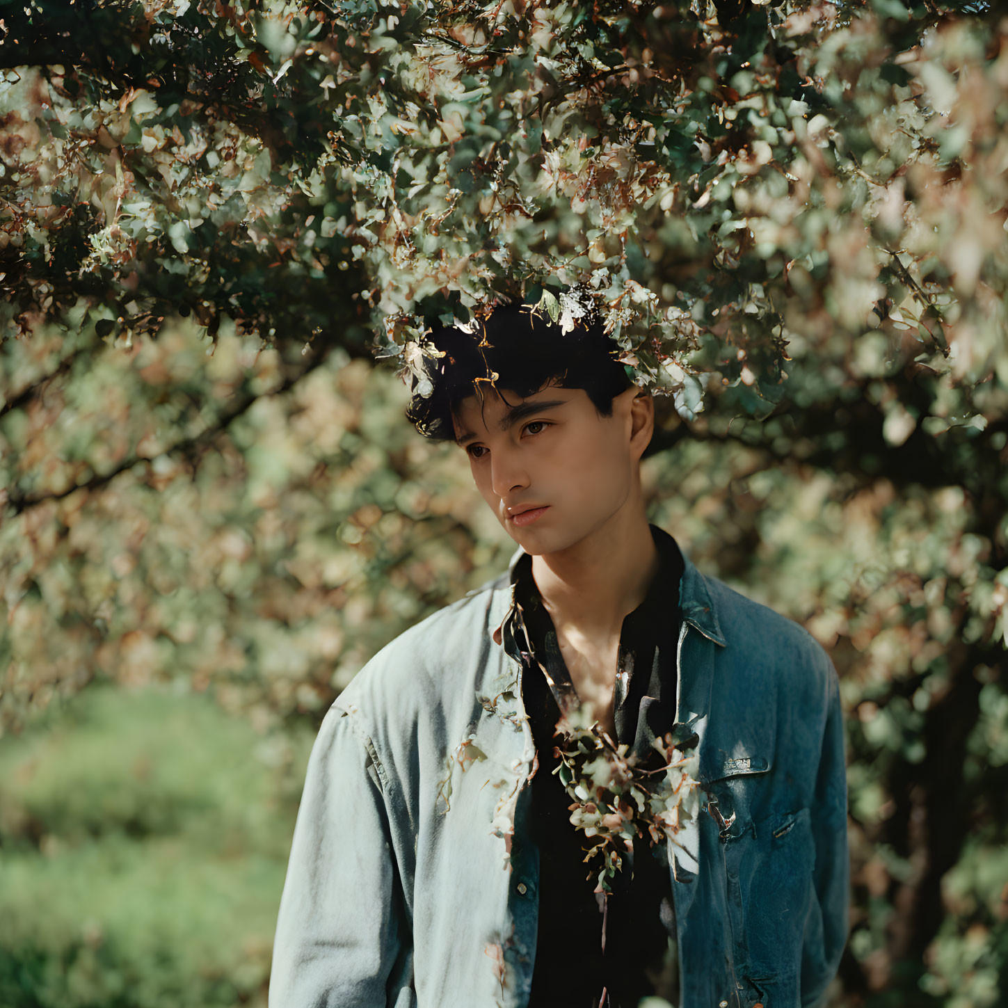 Young man in denim jacket under blossoming tree in sunlight