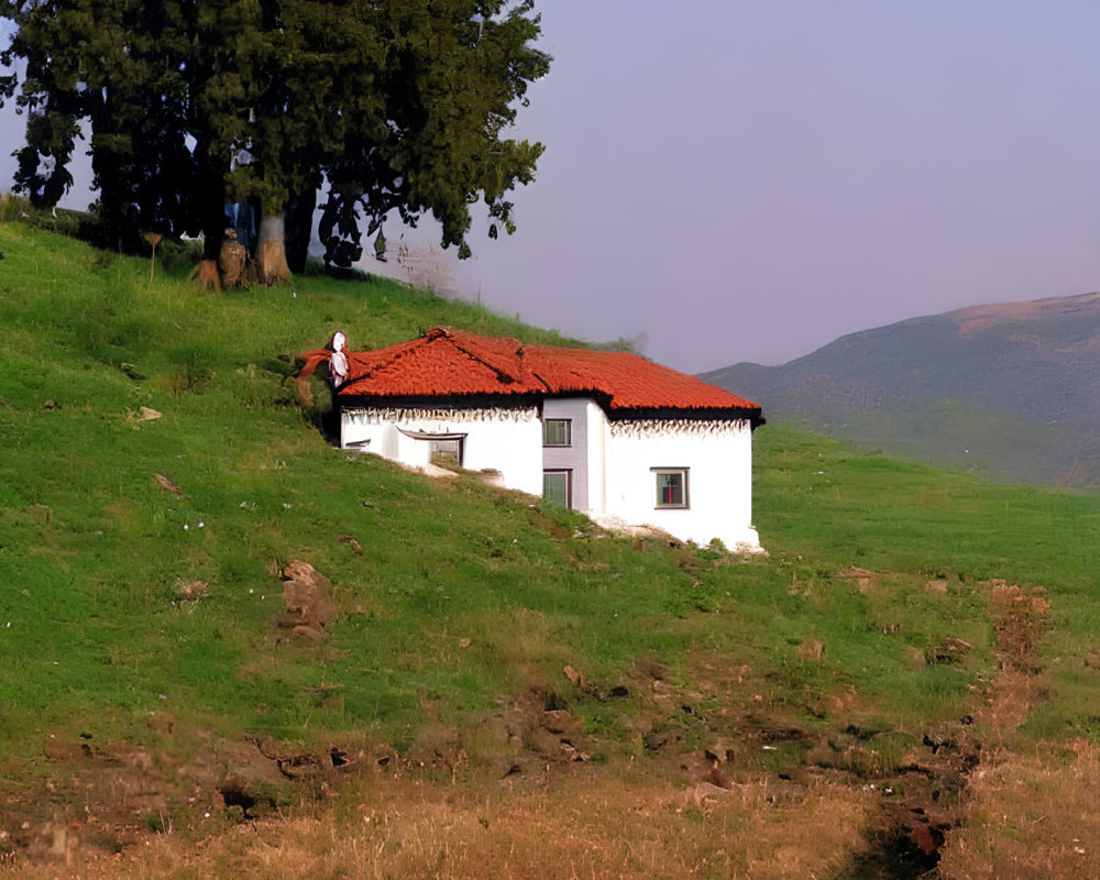 White rural house with red roof on green hillside, person sitting, trees, blue sky