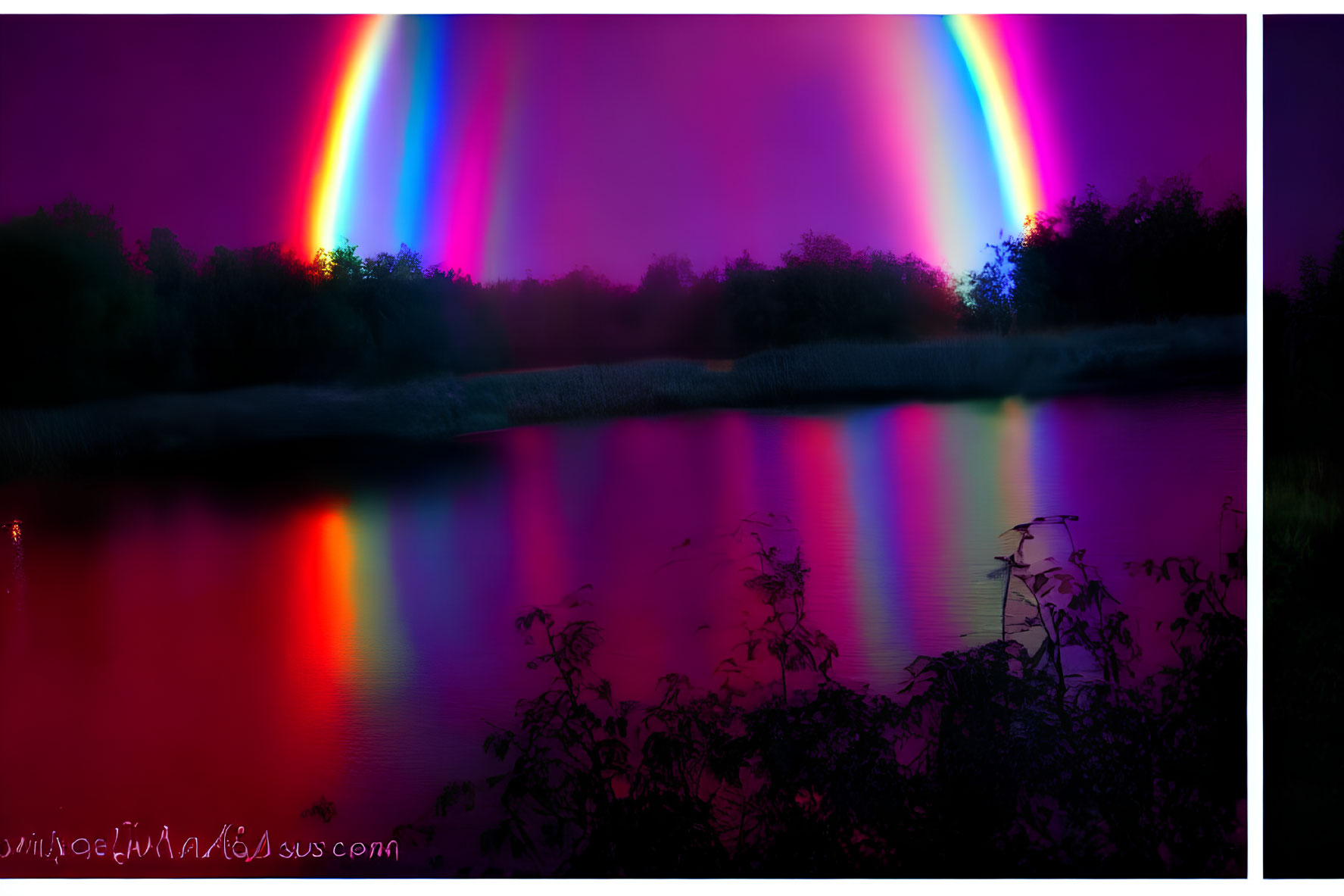 Nighttime scene: Colorful auroras over calm lake and silhouetted foliage