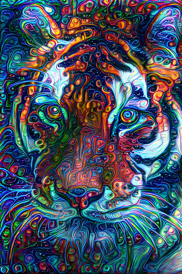 Trippy Kitty