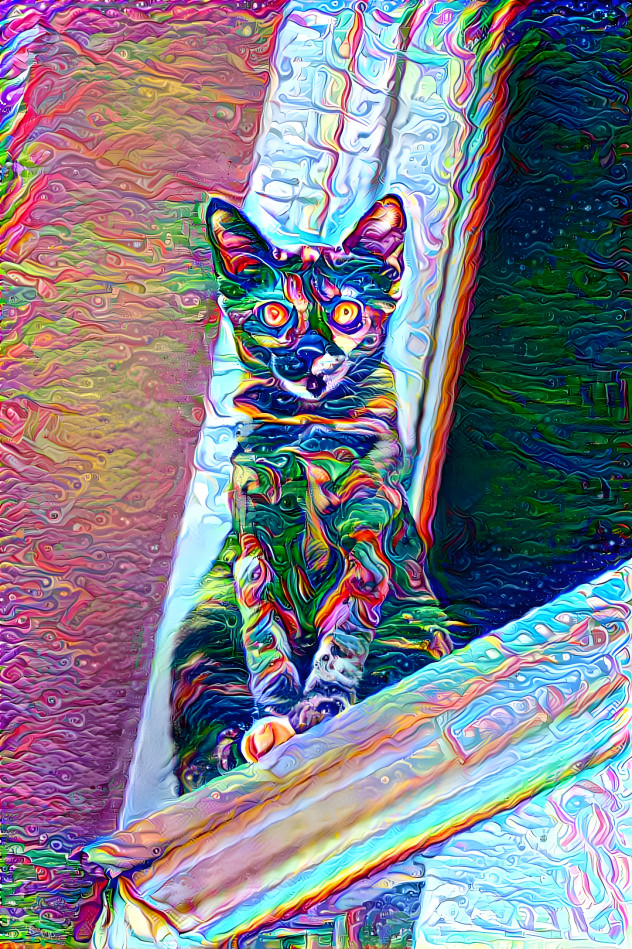 Trippy Cat