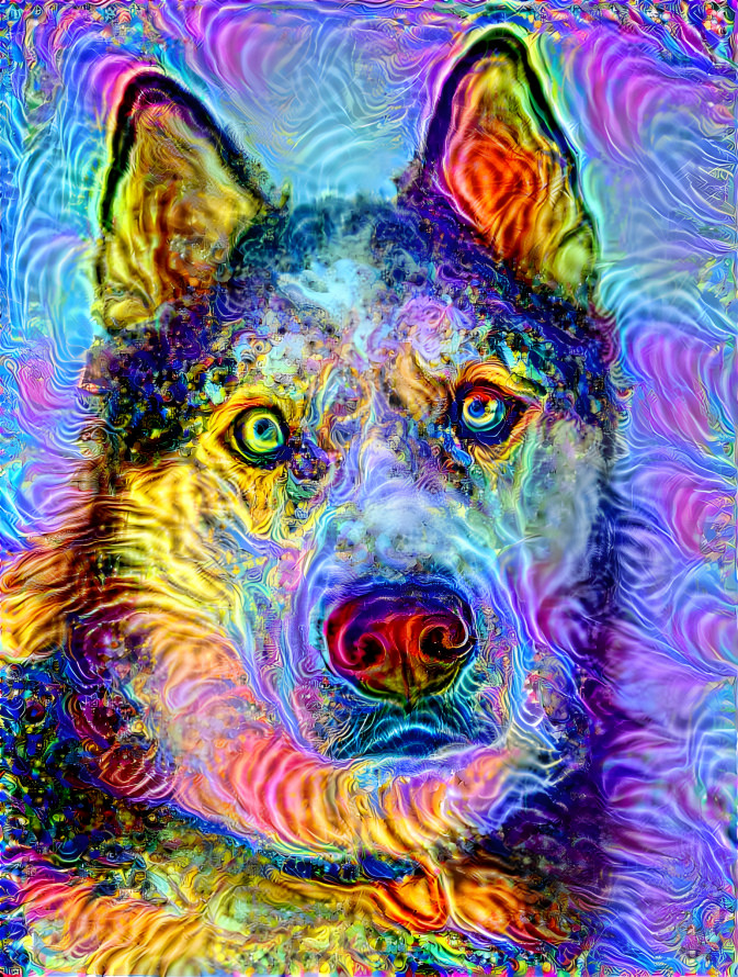 Rainbow Wolf