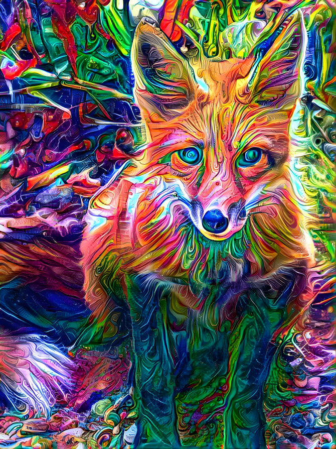 Psychedelic Fox