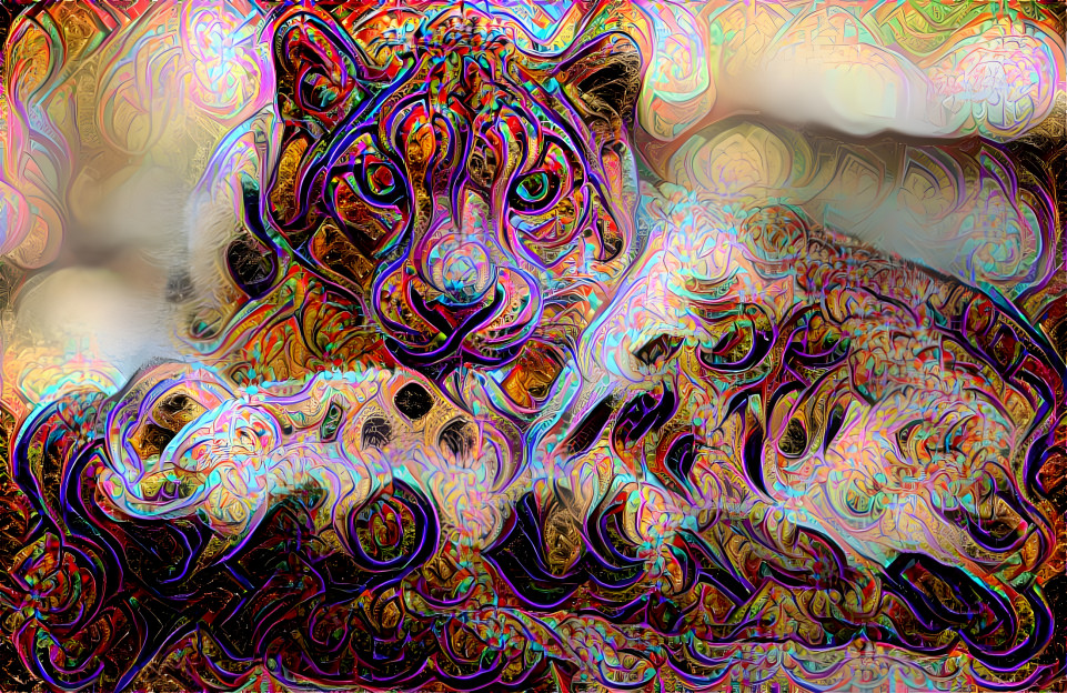 Swirly Kitty