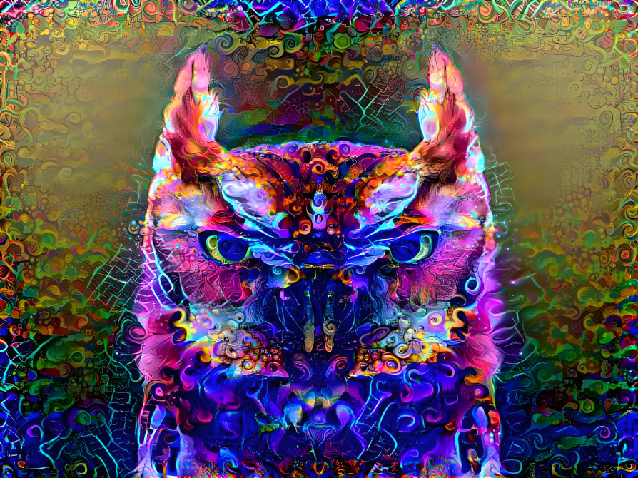 Trippy Owl