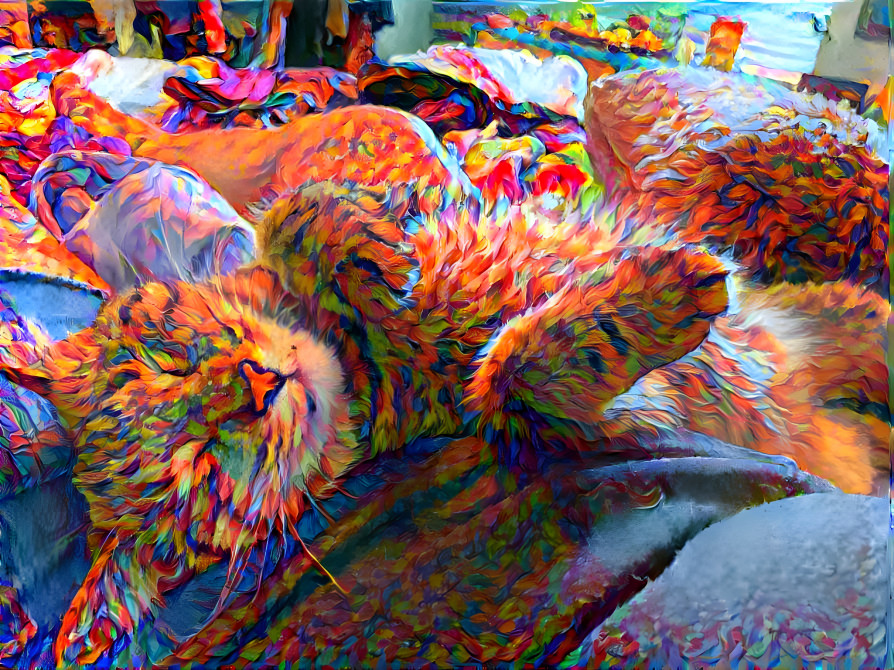 Tie Dye Kitten