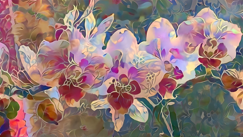 wallpaper Orchids 