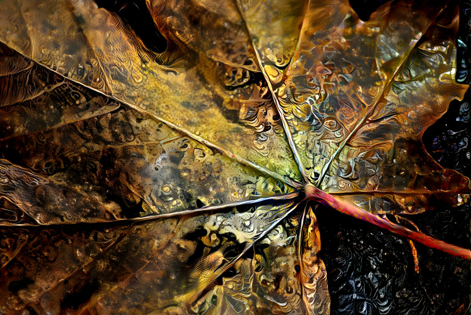 leaf detail