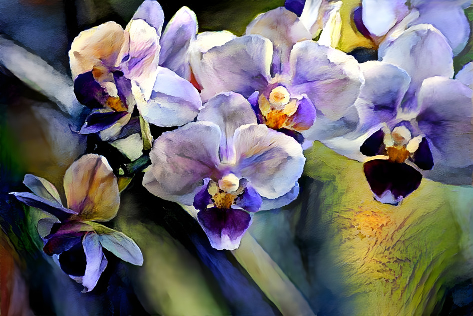 Orchids