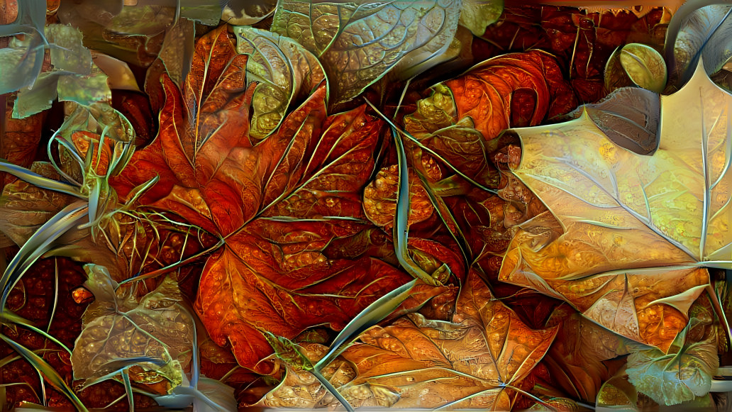 Fallen leaves