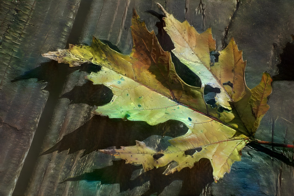 Fall leaf #6