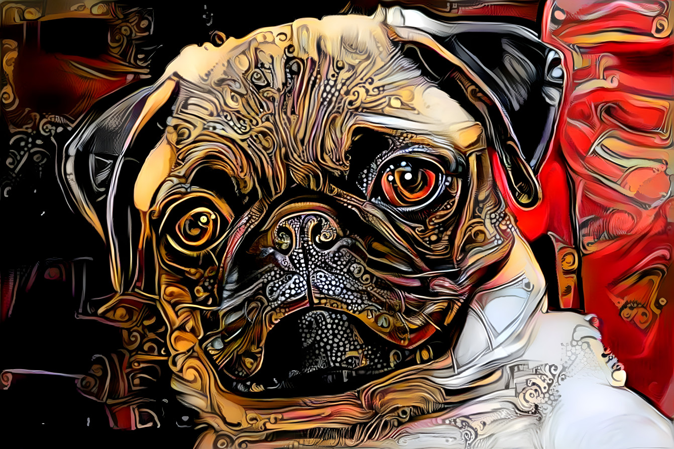 Pug