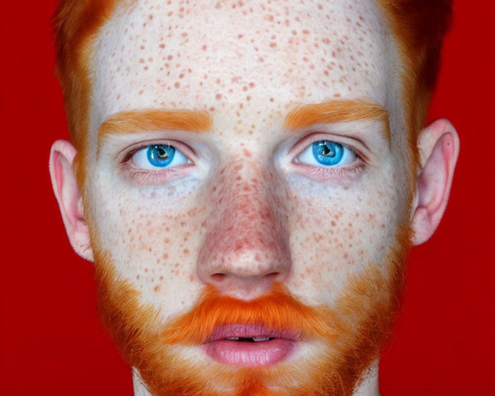 Portrait of Person with Red Hair, Beard, Freckles, and Blue Eyes on Red Background