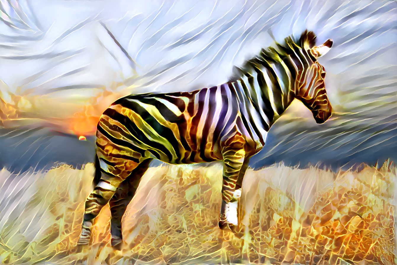 Zebra