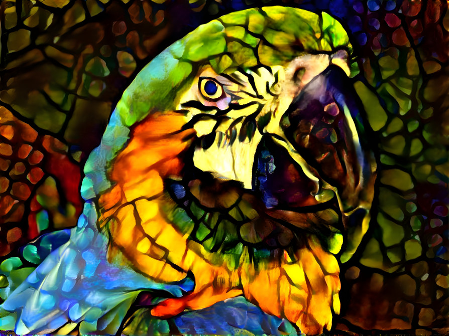 Parrot