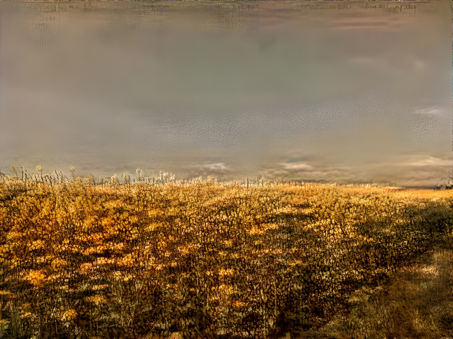 flowers in Auvers-sur-Oise