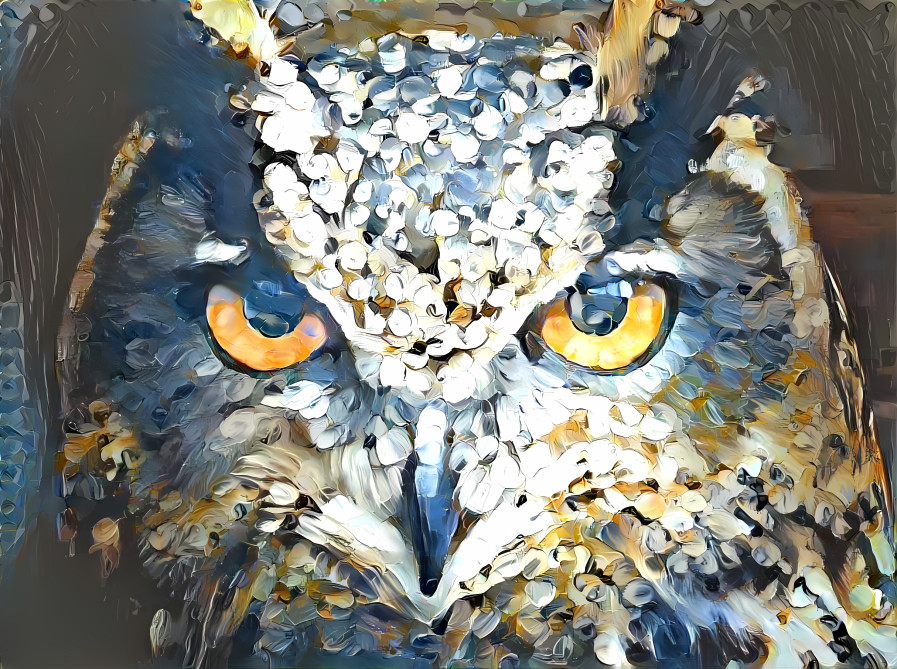 Owl