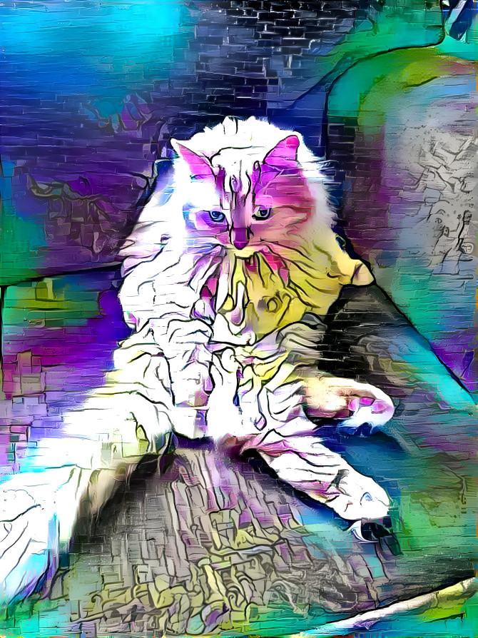 King Kitty