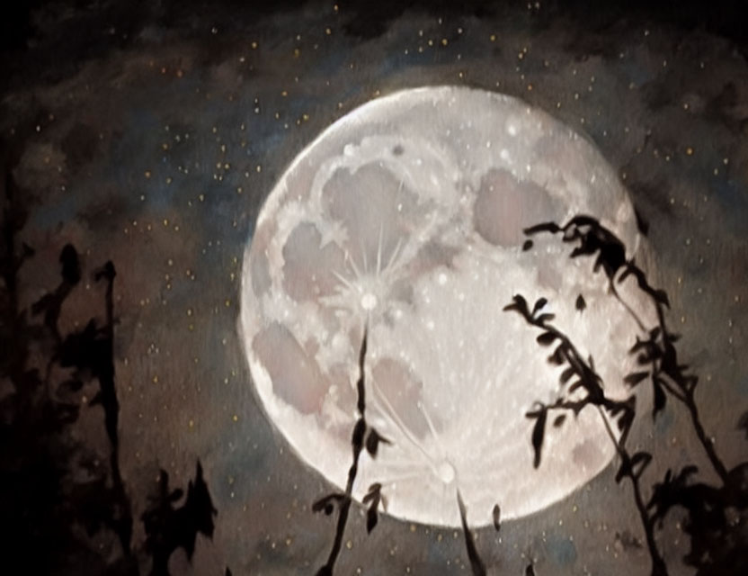 Detailed Full Moon Silhouetted by Flora Under Starry Sky