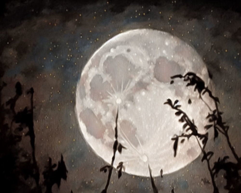 Detailed Full Moon Silhouetted by Flora Under Starry Sky