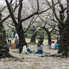 Impressionist painting of people in park with blossoming trees