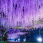 Serene Twilight Scene with Blooming Flowers and Trees