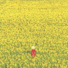 Serene Figure in Vibrant Flower Field Under Golden Sky