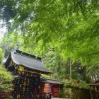 Serene Japanese Night Scene with Wooden Houses and Stars