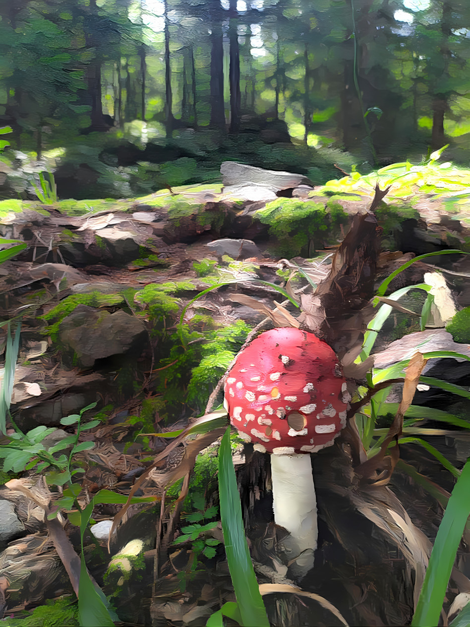 Toadstool