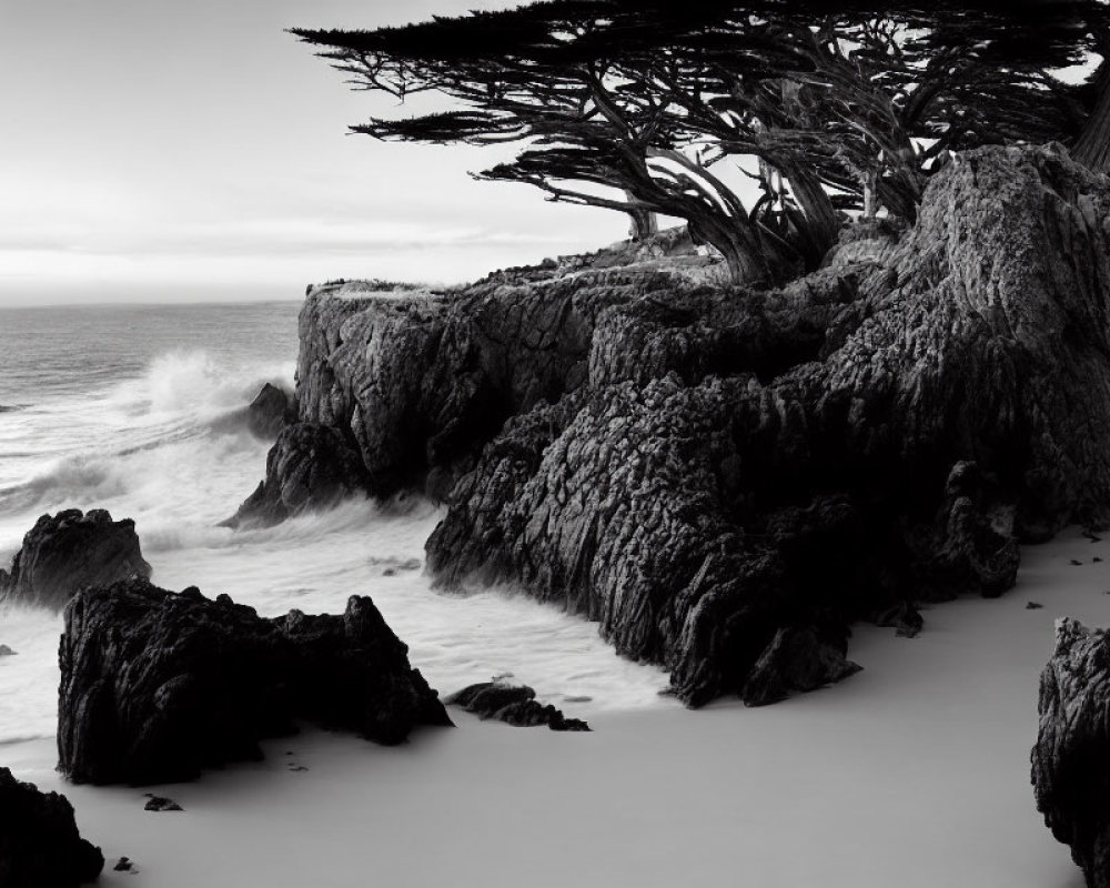 Monochrome seascape with crashing waves and windswept tree on rugged cliffs